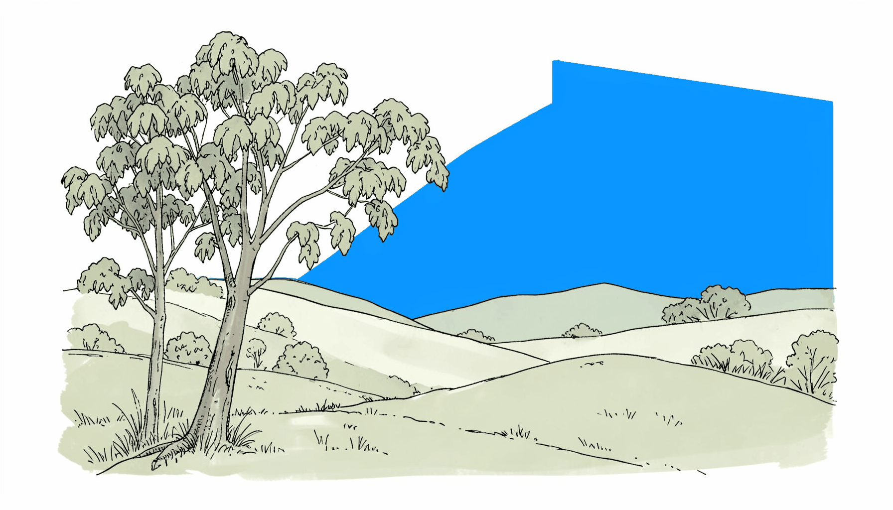 Hand-drawn ink illustration of a serene landscape with eucalyptus leaves and soft rolling hills in muted sage, calm and quiet mood